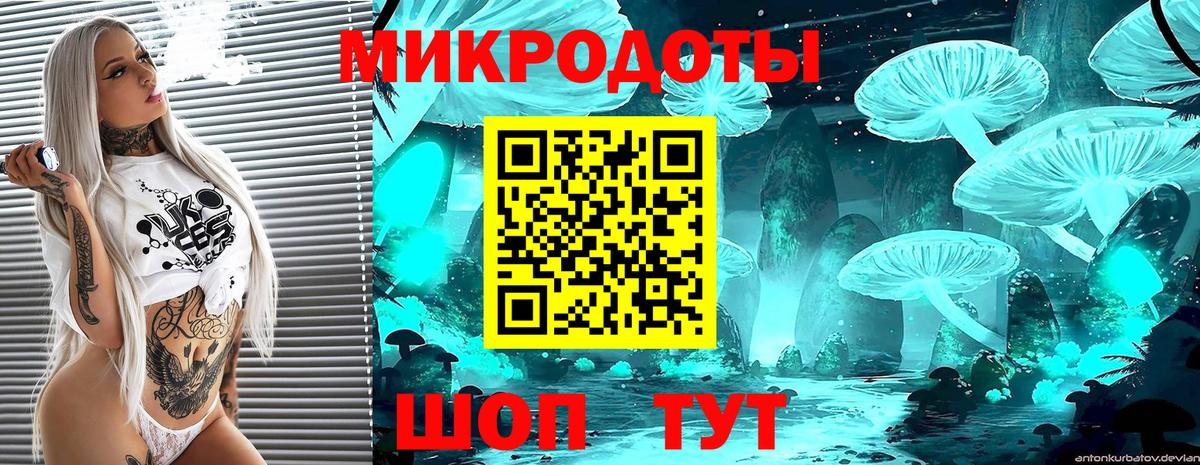 продажа наркотиков  Вход с VPN  Камышин  Псилоцибиновые грибы мицелий  Галлюциногенные грибы мухоморы 